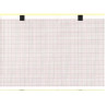 Papier ECG compatible Esaote Personnel 80 (60 liasses)